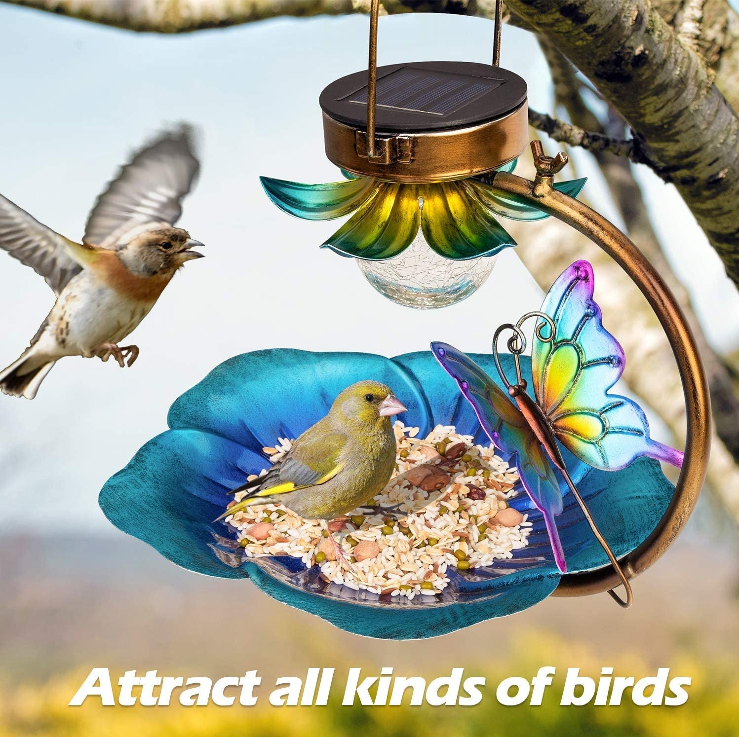 Solar Crack Ball Bird Feeder - Pets Crazy Shops