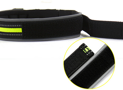 Pet Collars Thicken Comfortable Pets Plus Velcro Luminous Neoprene Dog Collars Cat Collars - Pets Crazy Shops