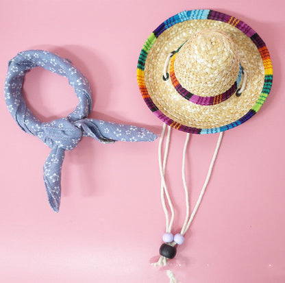 Pet Accessories Summer Outing Set - Pets Crazy Shops