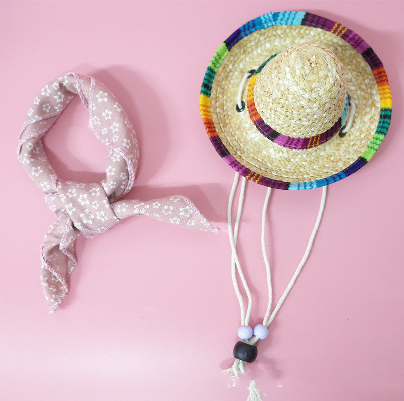 Pet Accessories Summer Outing Set - Pets Crazy Shops