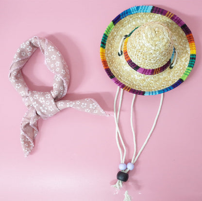 Pet Accessories Summer Outing Set - Pets Crazy Shops