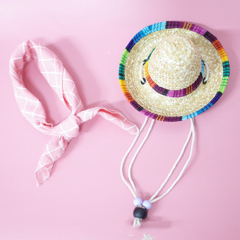 Pet Accessories Summer Outing Set - Pets Crazy Shops