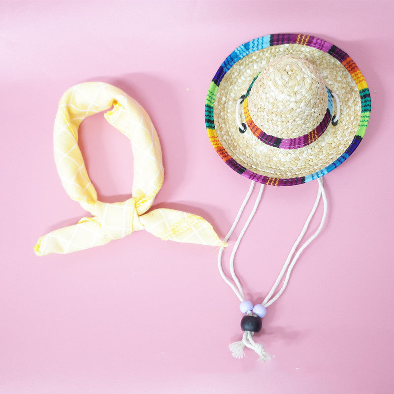 Pet Accessories Summer Outing Set - Pets Crazy Shops