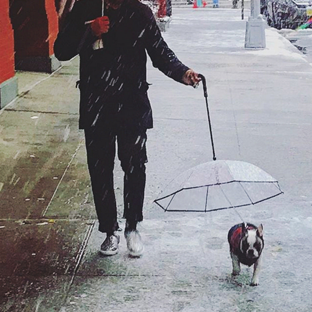 Transparent Pet Umbrella Dog Umbrella Pet Products - Pets Crazy Shops