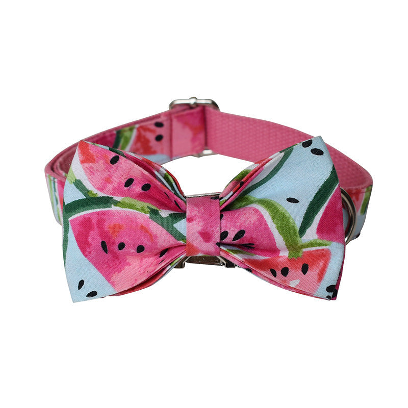 Watermelon Pet Supplies Dog Collar Pet Leash - Pets Crazy Shops