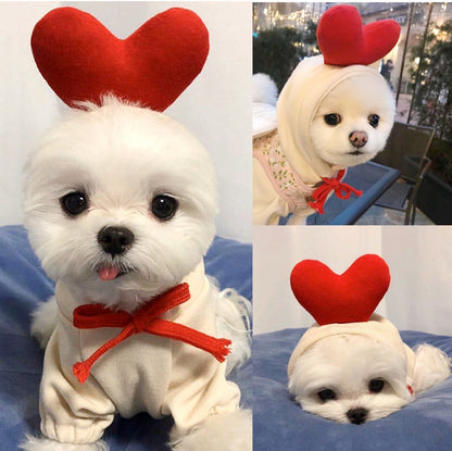 Dog Autumn And Winter Clothing Small And Medium Dog Love Two Legged Cat Cute Pet Clothing - Pets Crazy Shops
