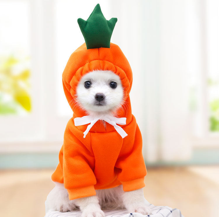 Dog Autumn And Winter Clothing Small And Medium Dog Love Two Legged Cat Cute Pet Clothing - Pets Crazy Shops