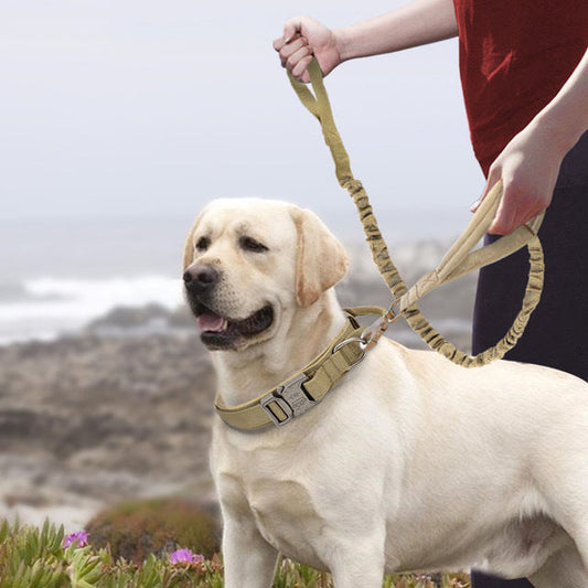 Nylon Dog Collars Large And Medium-sized Dogs Pet Collars - Pets Crazy Shops