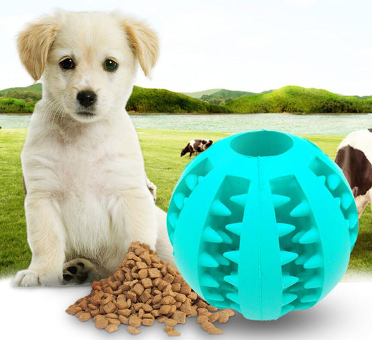 Pet Slow Feeder Dog Toy Cute Funny Rubber Dog Ball Toy - Pets Crazy Shops