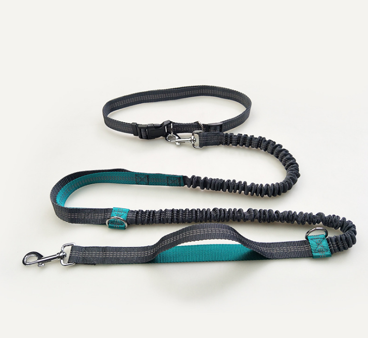 Amazon direct pet supplies multi-function running reflective pull dog leash double elastic dog leash traction - Pets Crazy Shops