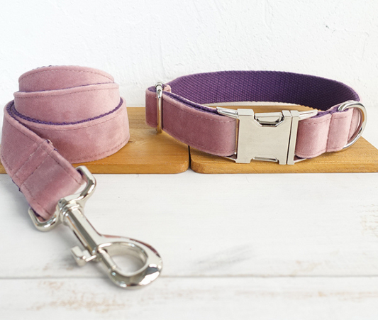 Dog leash pet collar - Pets Crazy Shops