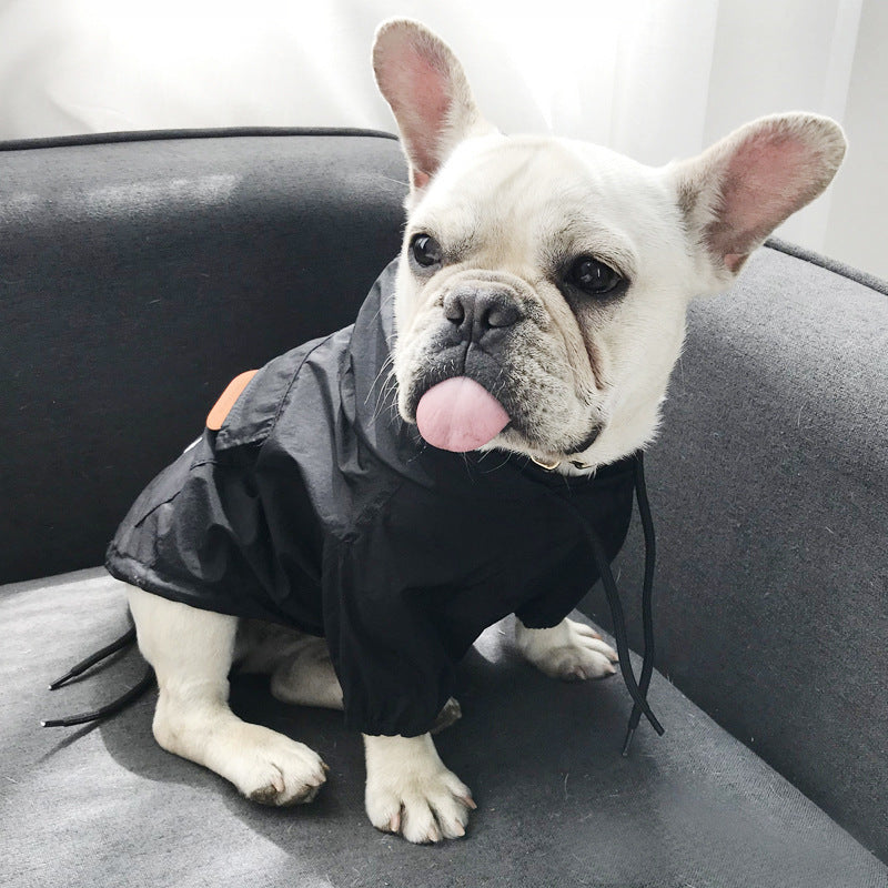 Sunscreen for dogs - Pets Crazy Shops