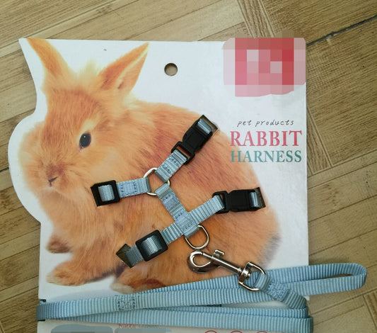 Towing rope for small pets - Pets Crazy Shops
