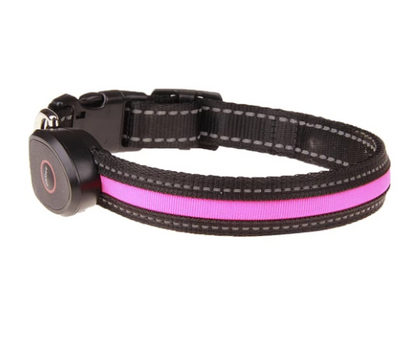 Dog luminous collar - Pets Crazy Shops