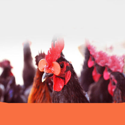 Chicken Beak Clasps - Pets Crazy Shops