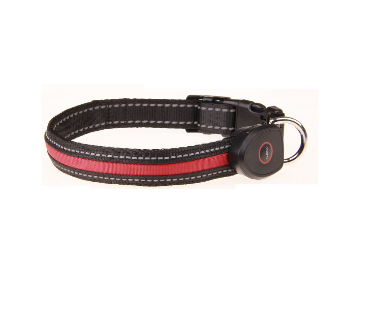 Dog luminous collar - Pets Crazy Shops
