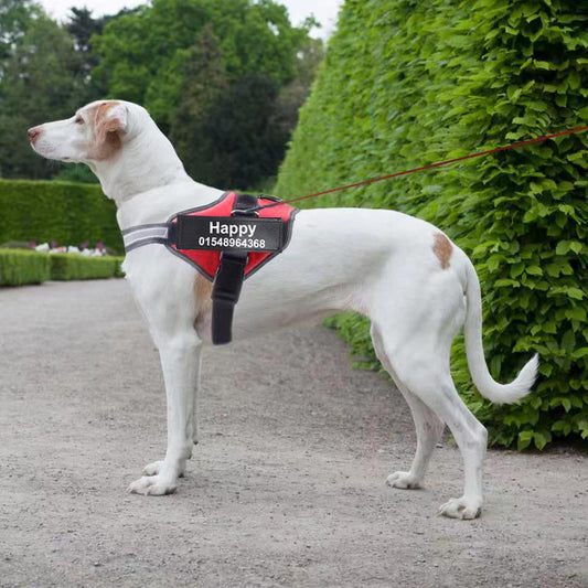 Personalized Custom Reflective Breathable Dog Harness NO PULL Adjustable Pet Harness For Small Large Dog Harness Vest With Patch - Pets Crazy Shops