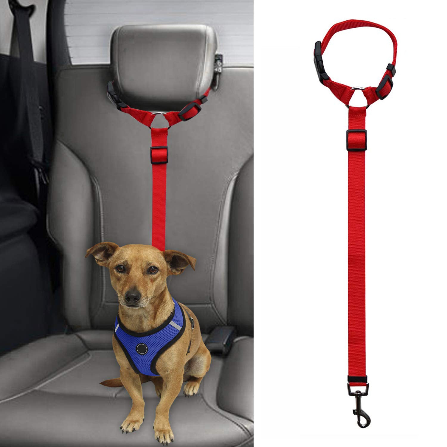 Pet safety leash - Pets Crazy Shops