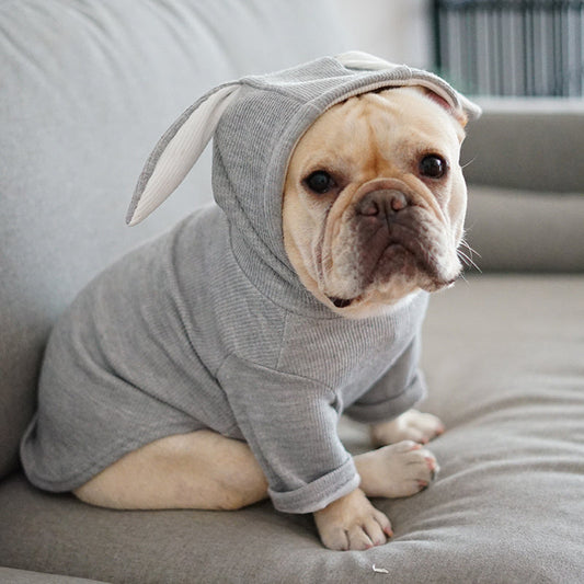 Dog Pet Clothes Spring And Autumn Clothing  -  - Pets Crazy Shops -