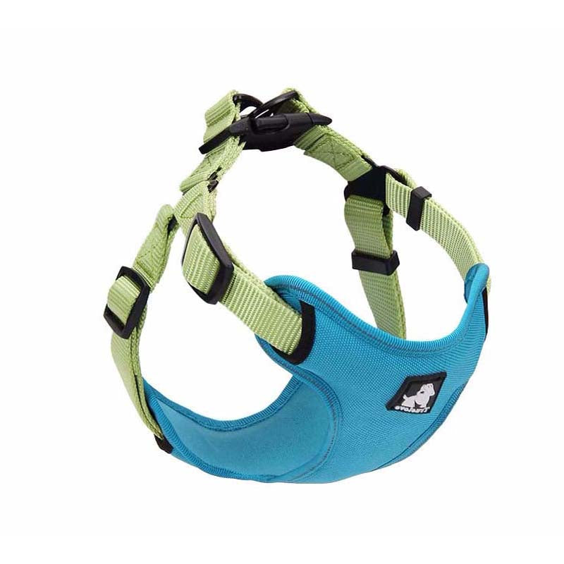 Dog leash collar walking dog leash - Pets Crazy Shops