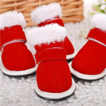 Pet shoes - Pets Crazy Shops