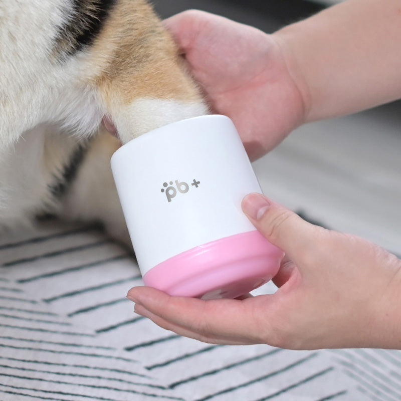 Pet footbath - Pets Crazy Shops