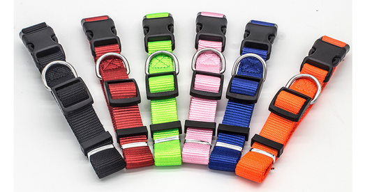 New Pet Collar - Pets Crazy Shops