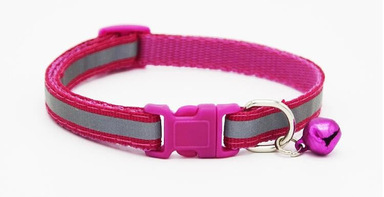 Fluorescent dog collar - Pets Crazy Shops