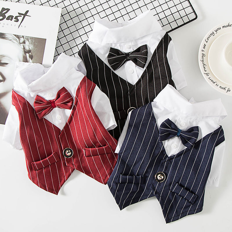 Small dog suit clothes - Pets Crazy Shops