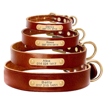 Dog Collar Pet Collar Custom - Pets Crazy Shops