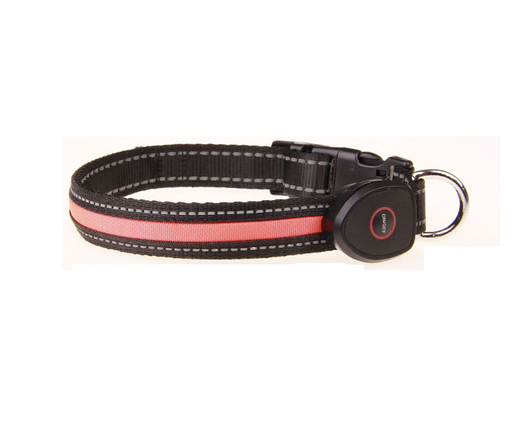 Dog luminous collar - Pets Crazy Shops