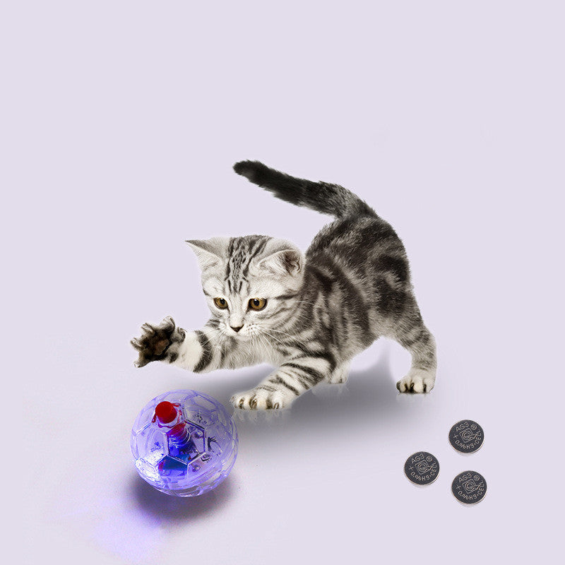 Cat Dog Toy Ball New Fashion Glowing Transparent Plastic Ball Pet Interactive Toy Funny Training Cat GlowBalls Toys Pet Products - Pets Crazy Shops