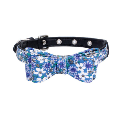 Pet collar - Pets Crazy Shops