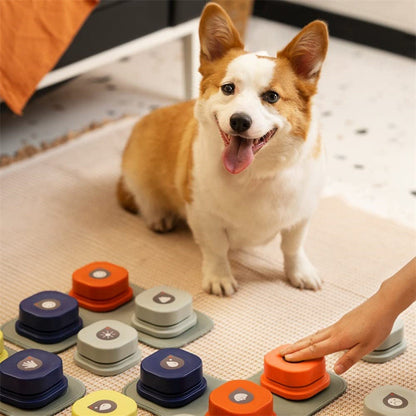 4 Colors Pet Communication Button One-click Prevent Physical Inactivity Recordable Dog Talking Button Toy Cat Toy Pet Products - Pets Crazy Shops