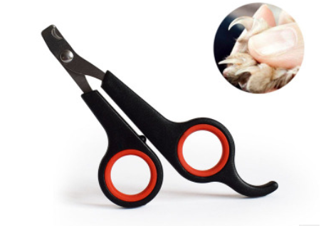 Dog Nail Clipper Pet Nail Scissors - Pets Crazy Shops