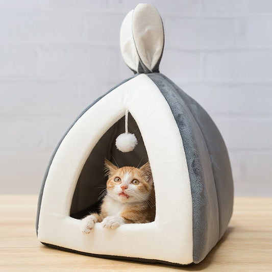 Pet Waterloo - Pets Crazy Shops