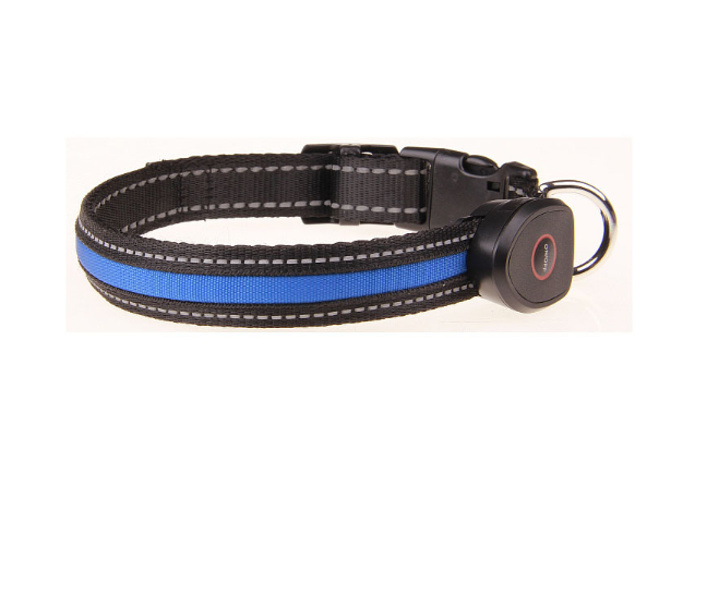 Dog luminous collar - Pets Crazy Shops