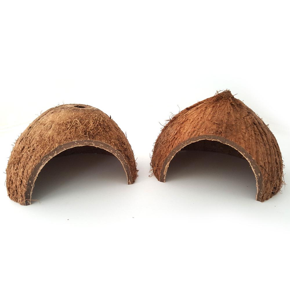 Reptile cache cave natural nest coconut shell - Pets Crazy Shops