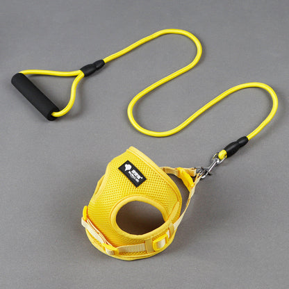 Dog leash dog leash dog collar - Pets Crazy Shops