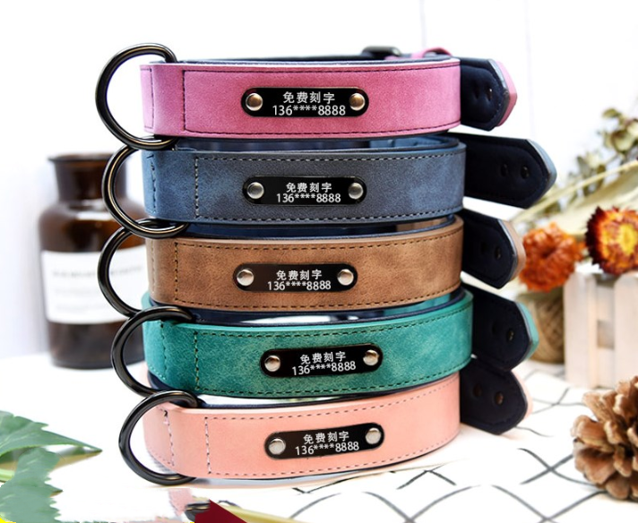 Dog Tag Identity Card Customization - Pets Crazy Shops