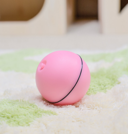 LED Laser Electronic Rolling Pet Funny Cat Toy Ball - Pets Crazy Shops