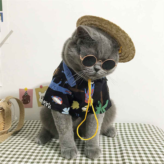 Cat clothes  -  - Pets Crazy Shops -