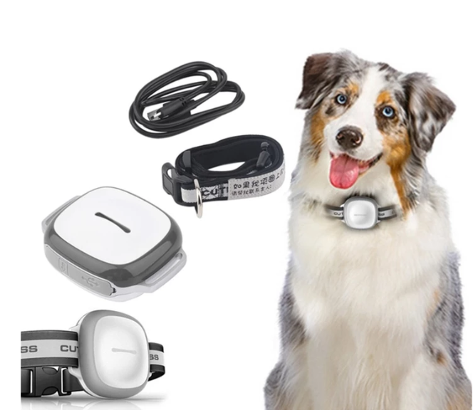 Locator pet - Pets Crazy Shops