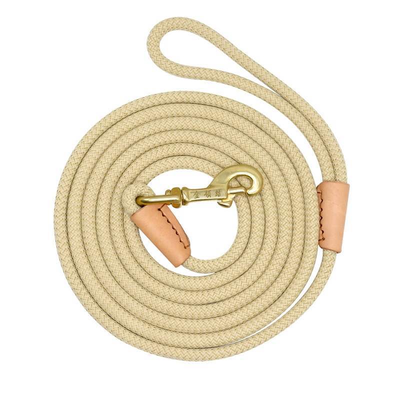 Dog training belt - Pets Crazy Shops