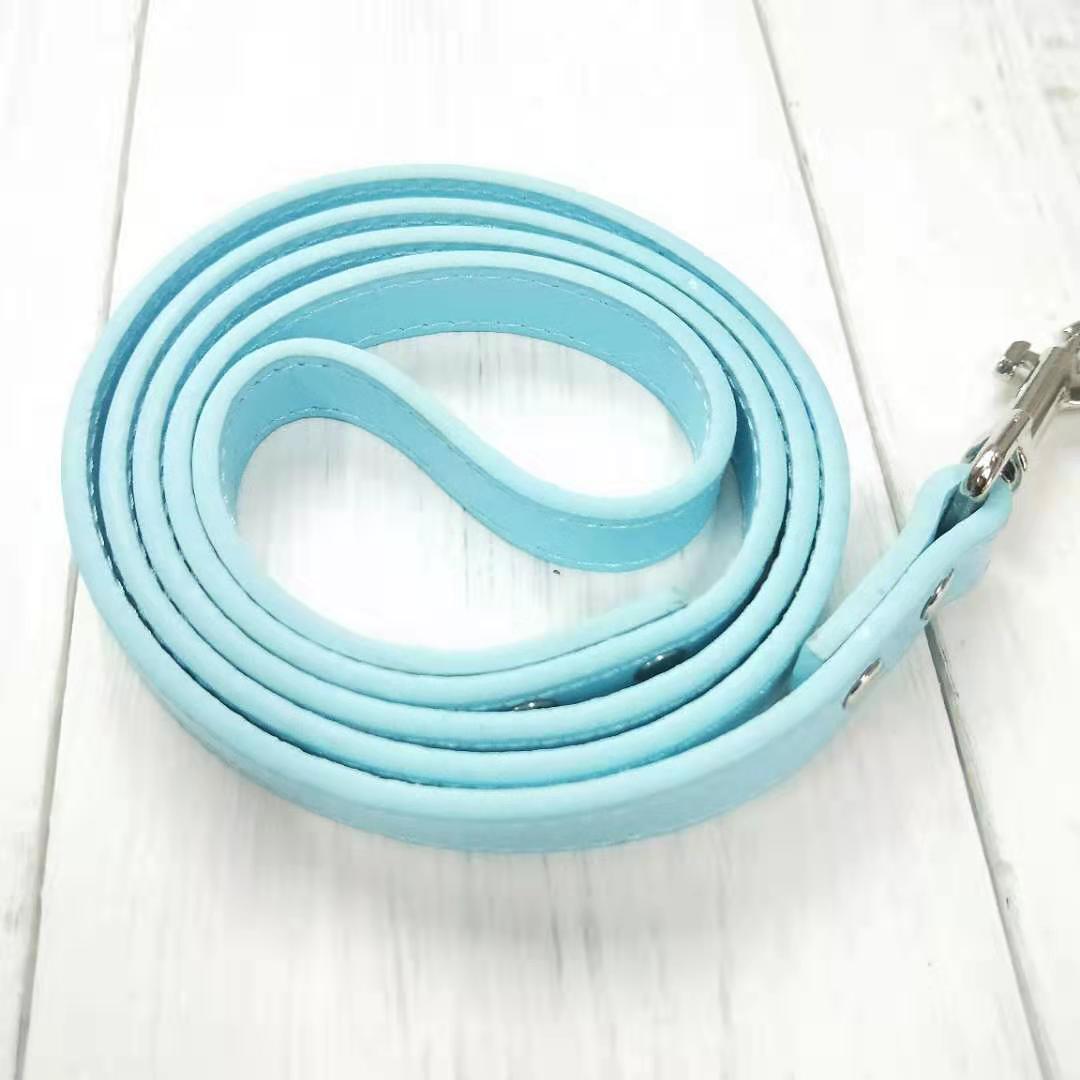 Pet leash collar - Pets Crazy Shops