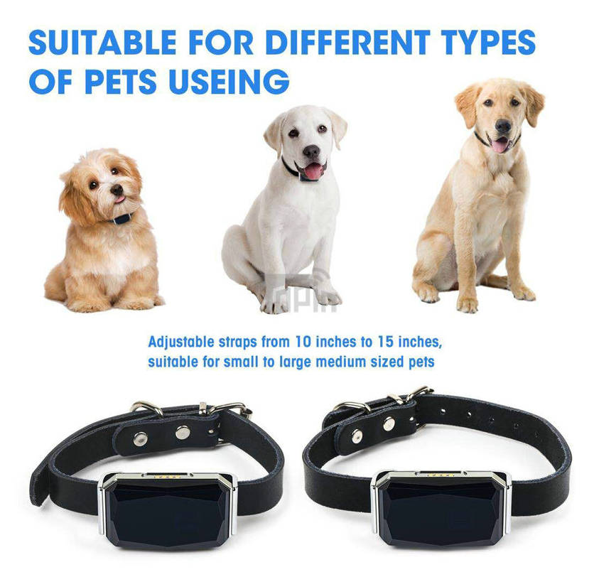 Pet Tracking Locator - Pets Crazy Shops