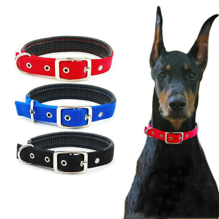 Medium and large dog collars - Pets Crazy Shops