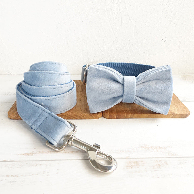 Thick pet collar - Pets Crazy Shops