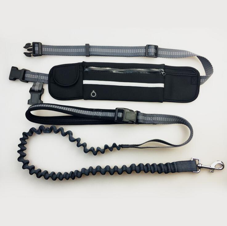 Hands-Free Dog Running Leash with Waist Pocket Adjustable Belt Shock Absorbing Bungee - Pets Crazy Shops