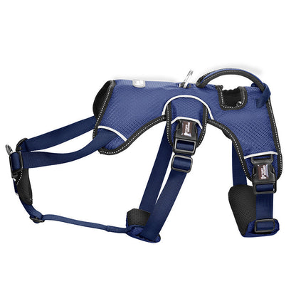 Dog leash collar - Pets Crazy Shops